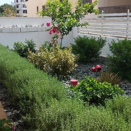 La Veranda 3* לרנקה