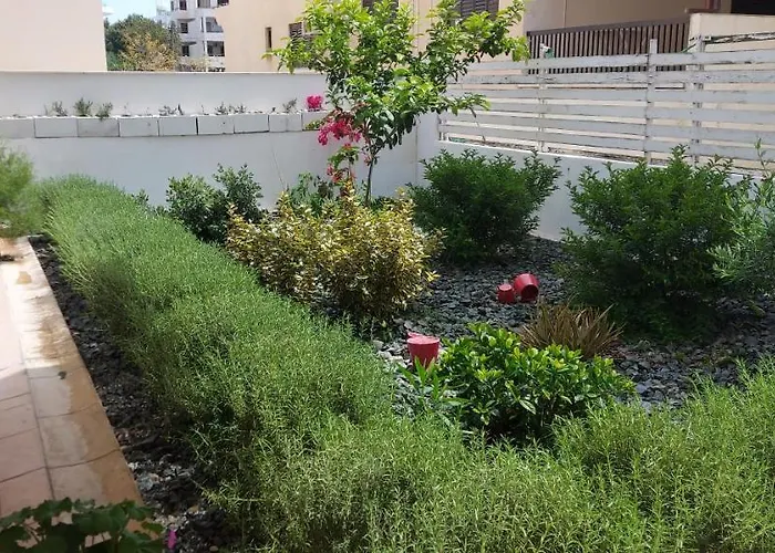 La Veranda 3* Lárnaca